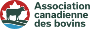 Association canadienne des bovins